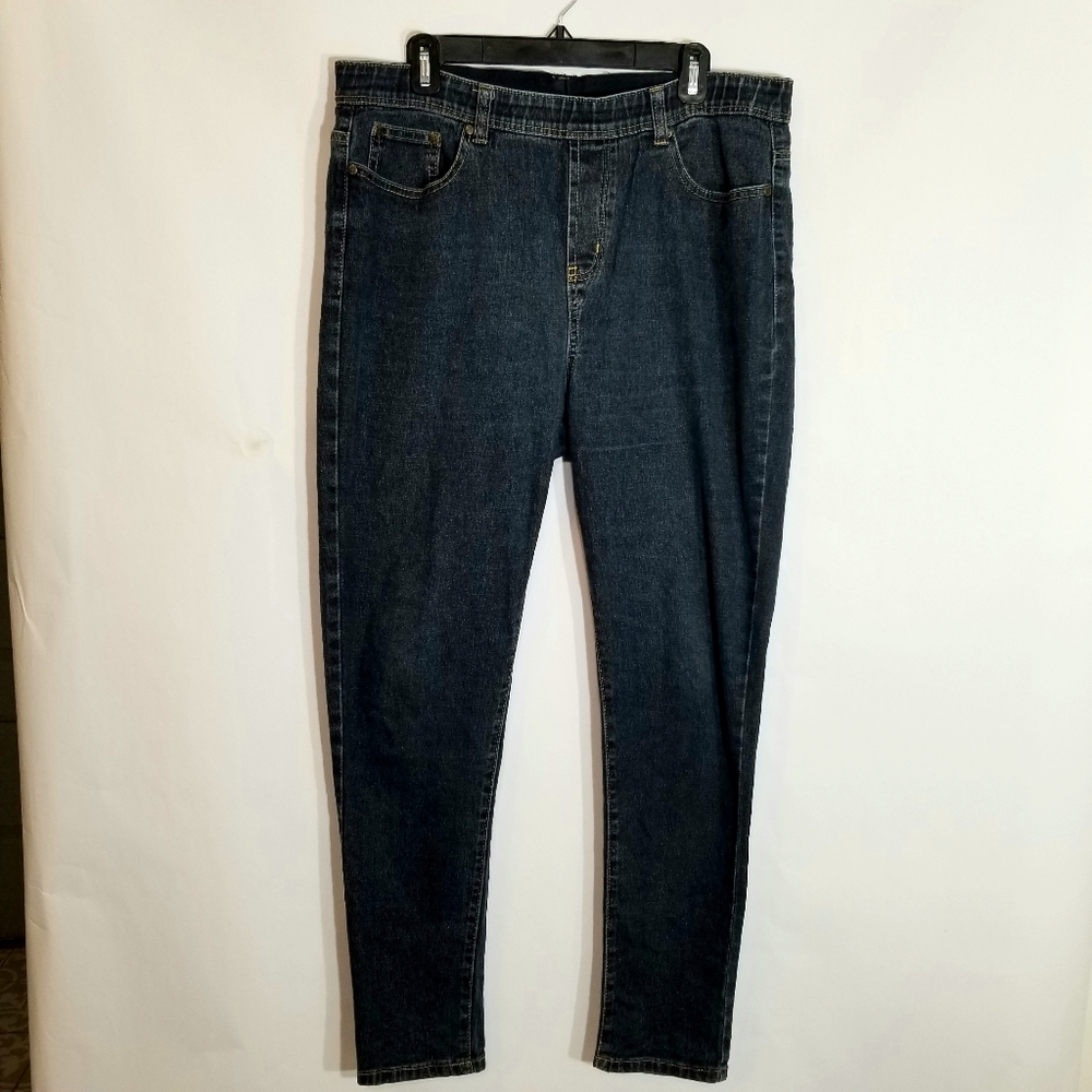 DG2 by Diane Gilman Jegging Womens Large Tall Stretch Denim 5-Pocket  Blue Jean.